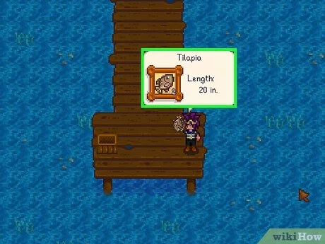 Tilapia Stardew Valley